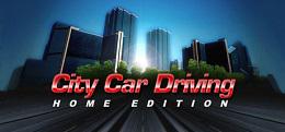 城市汽车驾驶（City Car Driving）