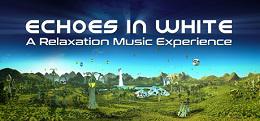 白色世界的回响（Echoes in White）