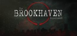 布鲁克海文实验（The Brookhaven Experiment）