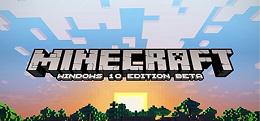 我的世界（minecraft）