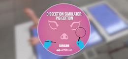 解剖模拟器:猪(Dissection Simulator: Pig Edition)