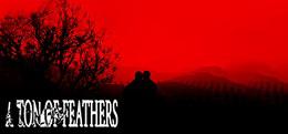 沉重羽毛(A Ton Of Feathers)