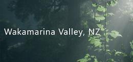 新西兰瓦卡马里纳山谷（Wakamarina Valley, New Zealand）