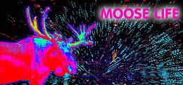 驼鹿生活（Moose Life）