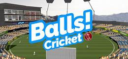 球！VR板球（Balls! Virtual Reality Cricket）