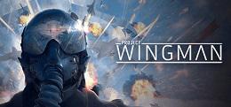 翼人计划（Project Wingman）