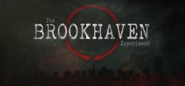 布鲁克海文实验(The Brookhaven Experiment)