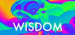 智慧(Wisdom)