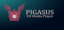 飞猪播放器(Pigasus VR Media Player)