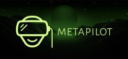 元驾驶仪（Metapilot）