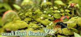 昆虫模拟飞行(Insect Flight Simulator VR）