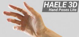 手部姿势绘图参考（HAELE 3D - Hand Poses Lite - Drawing References）
