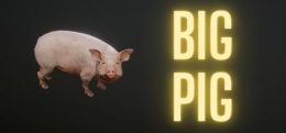 杀猪（Big Pig）