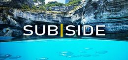 水域（Subside）