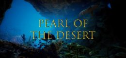 沙漠之珠(Pearl of the Desert)